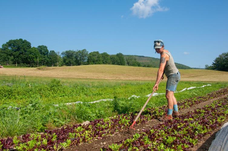 Molly Comstock tends the fields at Colfax Farm.