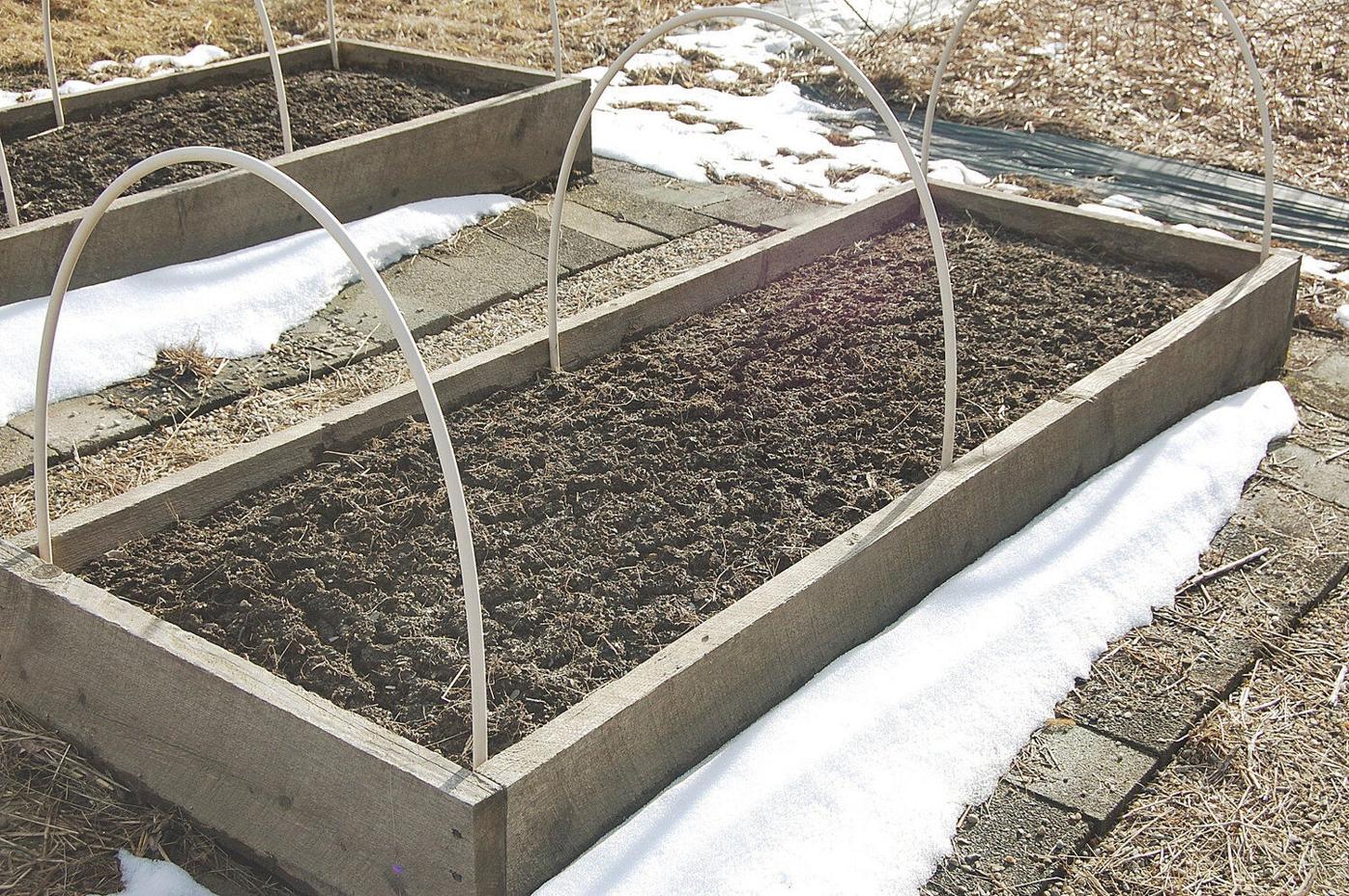 Ron Kujawski Garden Journal Raised Beds Give A Head Start On Planting Seeds Archives Berkshireeagle Com