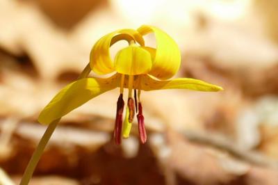 featured-image