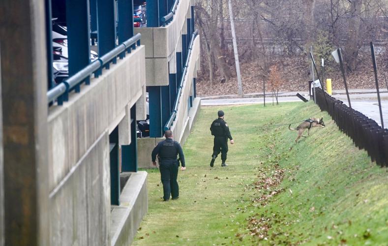 Police with K9 dog searching grassy area