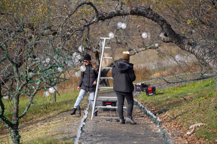 Winterlights is coming back to Naumkeag for a 6th year. Here's how you