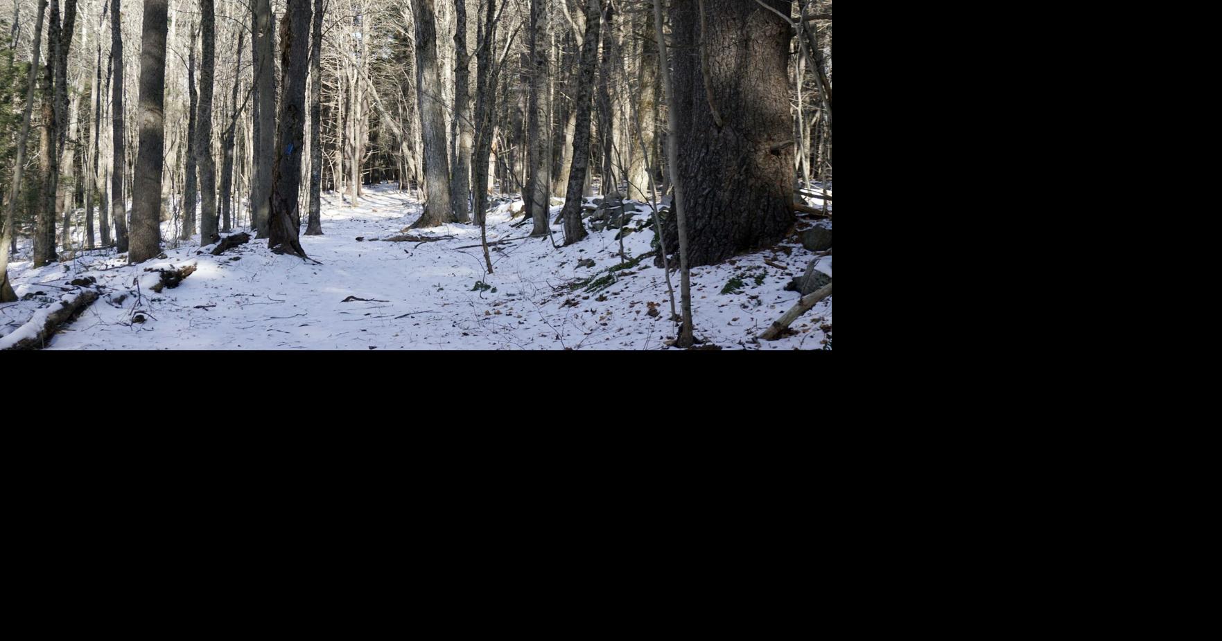 Gene Chague: Shotgun deer hunting season opens Monday