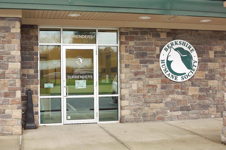 Berkshire Humane Society details Pittsfield shelter plans