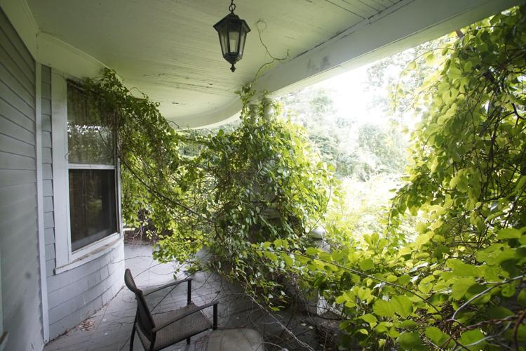 overgrown porch