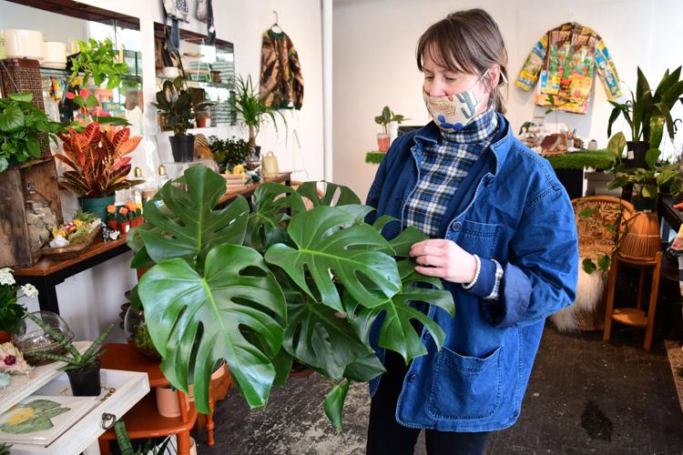 Yawn shows off a monstera deliciosa plant in her store