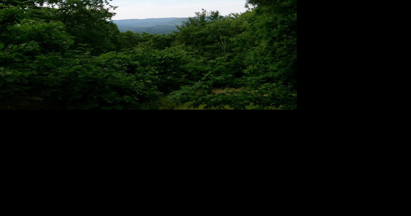 Char vista