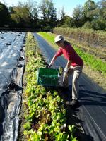 Local farms receive infrastructure improvement grants