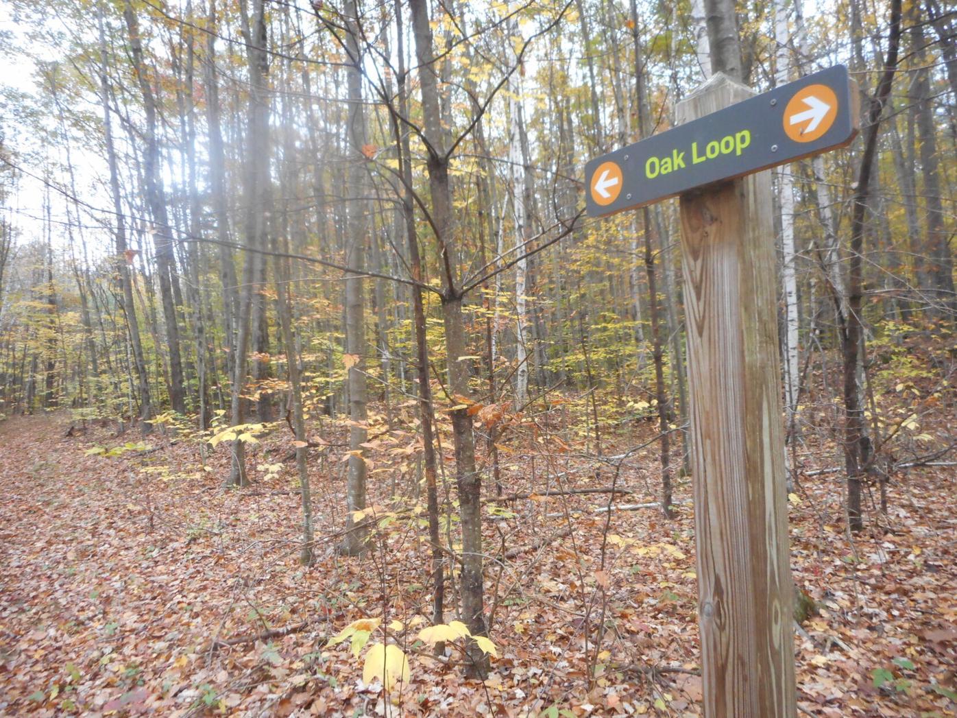 a trail marker signifies the oak loop