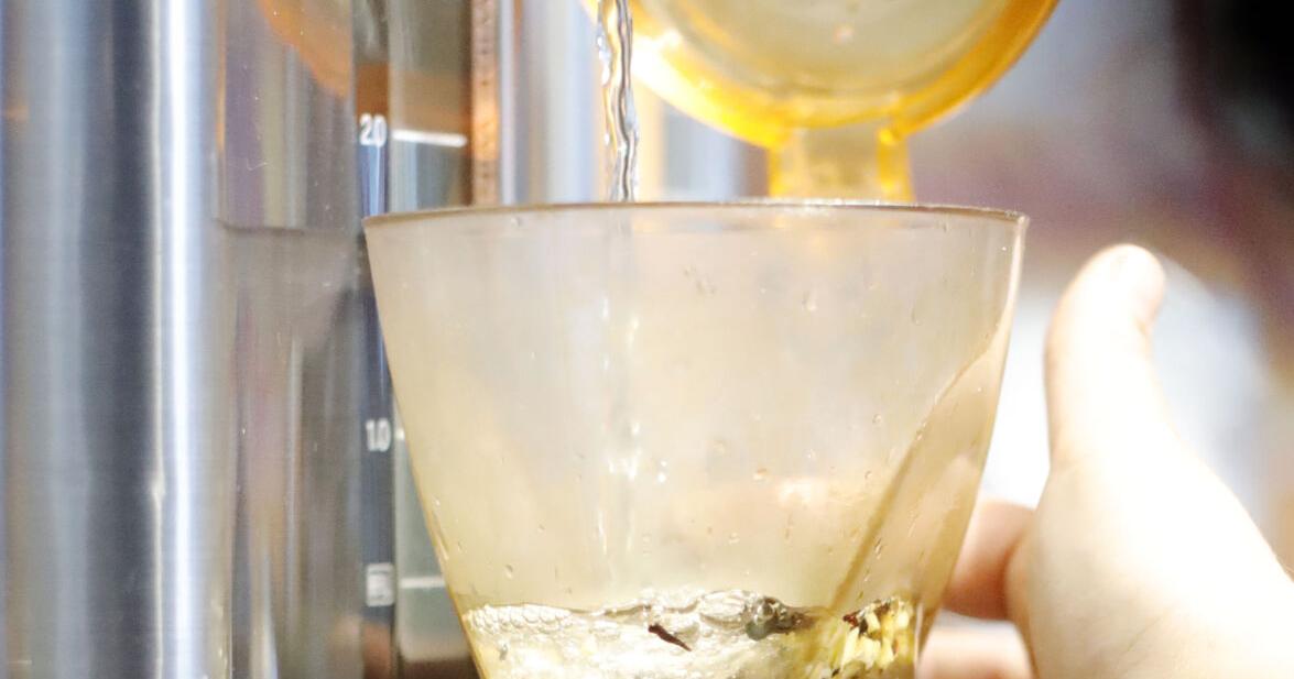 water pouring into tea