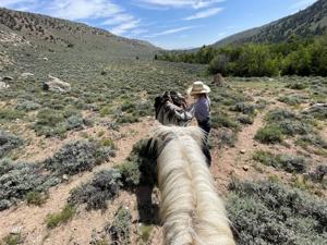 Reflecting on last year's Fourth of July Parade in Wyoming