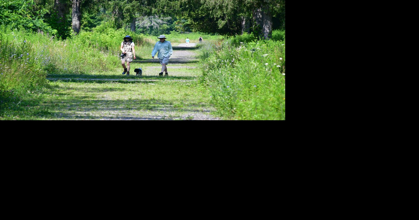 In answer to years of complaints, Williamstown implements new off-leash dog park at Spruces Park