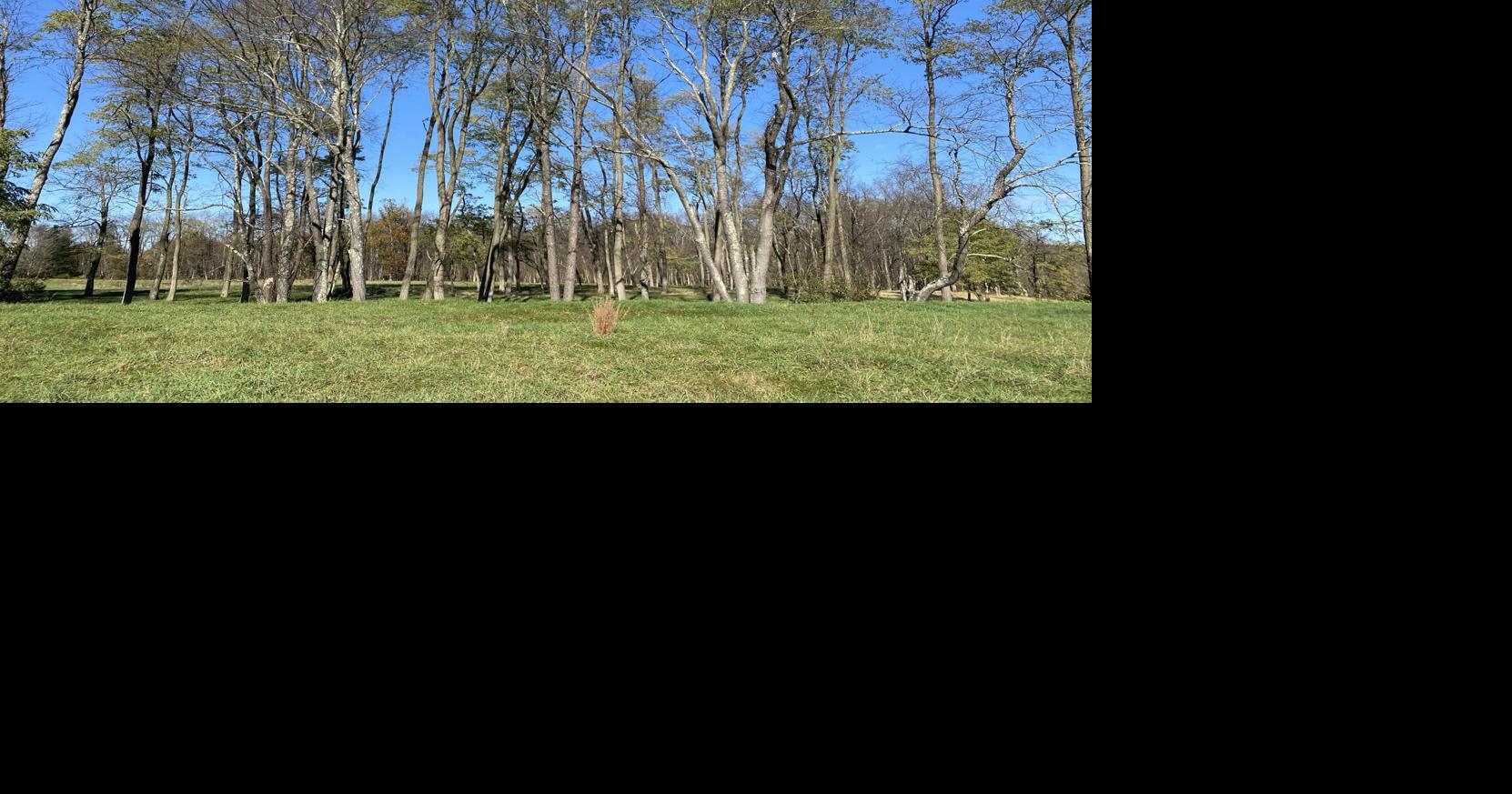 River Run Farm Photo 1