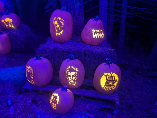 PHOTOS 2024 Incredible Naumkeag Pumpkin Show Multimedia
