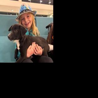 The owners of Otto’s Kitchen & Comfort brought back four stray dogs in need of a home from Puerto Rico. They’re keeping one of them | Local News