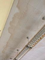Stained ceiling tiles from leaking roof in former Cheshire Elementary School