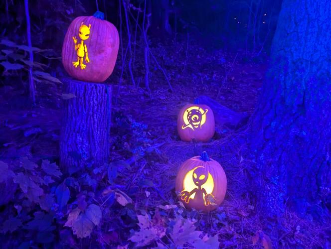 PHOTOS 2024 Incredible Naumkeag Pumpkin Show Multimedia