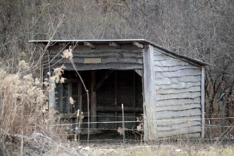 small wooden horse shelter on farm