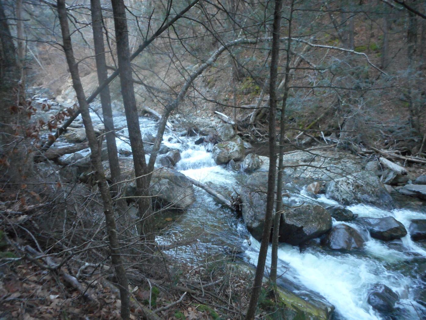Lauren R. Stevens: Hiking the Dunbar Brook Trail in Monroe ...