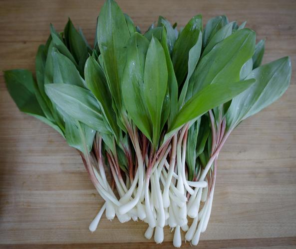 Why Ramps Are All The Rage — And What To Do With Them When You Finally Find  Some | Arts And Culture | Berkshireeagle.com