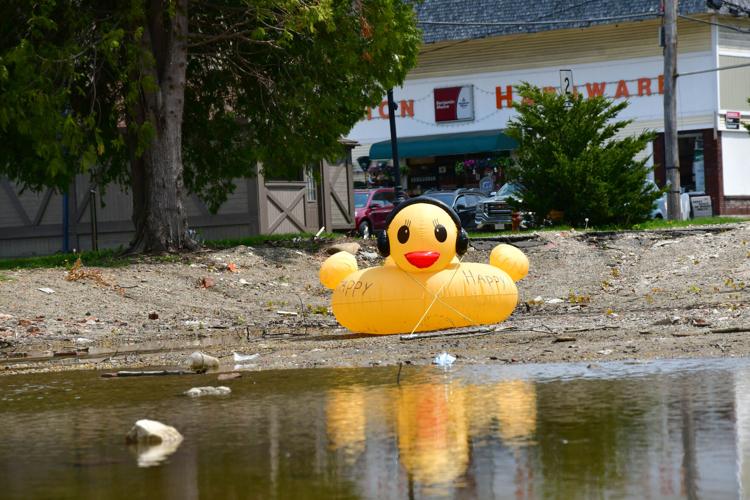 for giant rubber duck pool