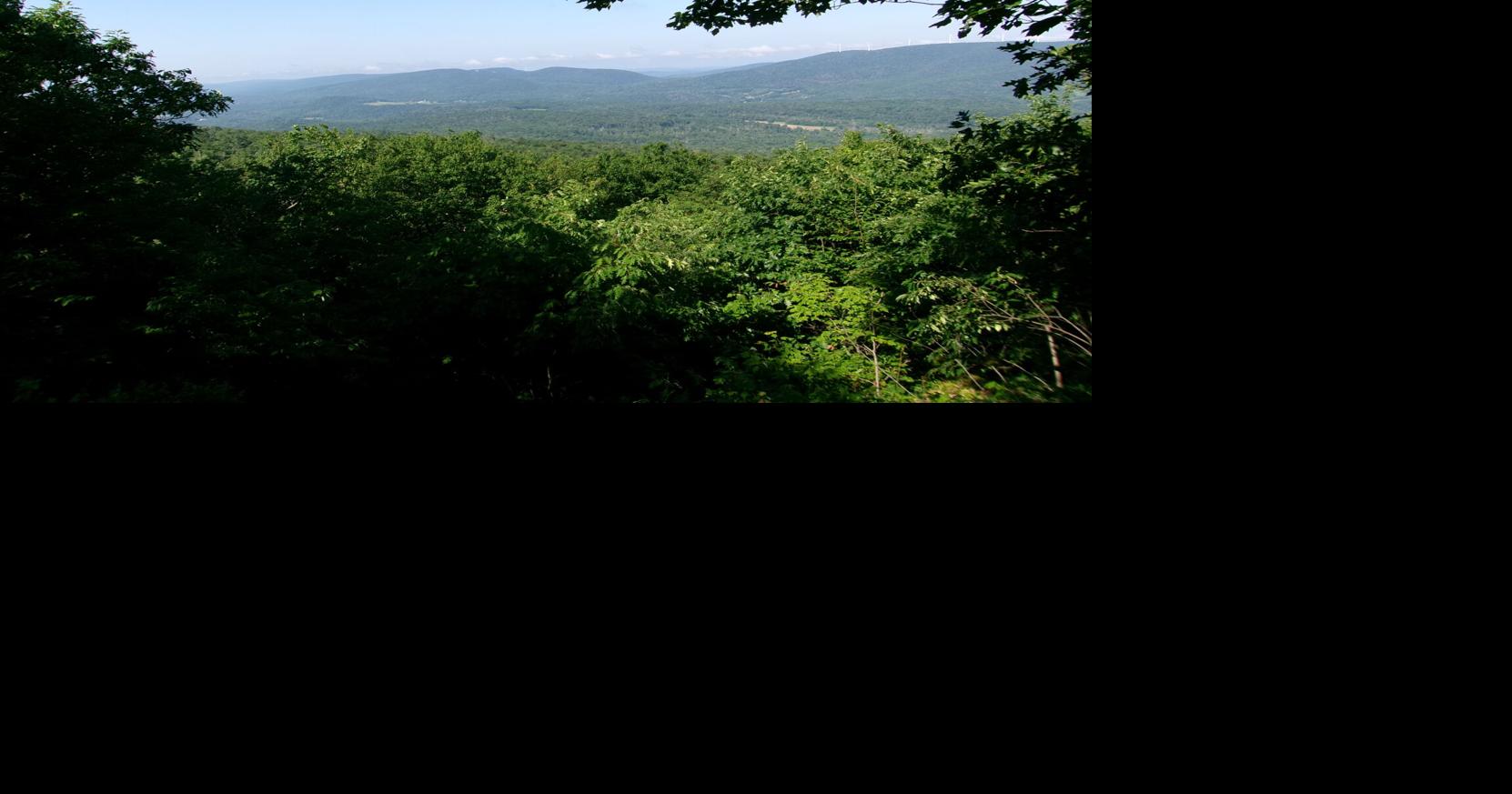 Lauren R. Stevens: Hiking amongst the blueberries and legends of Rounds Rock