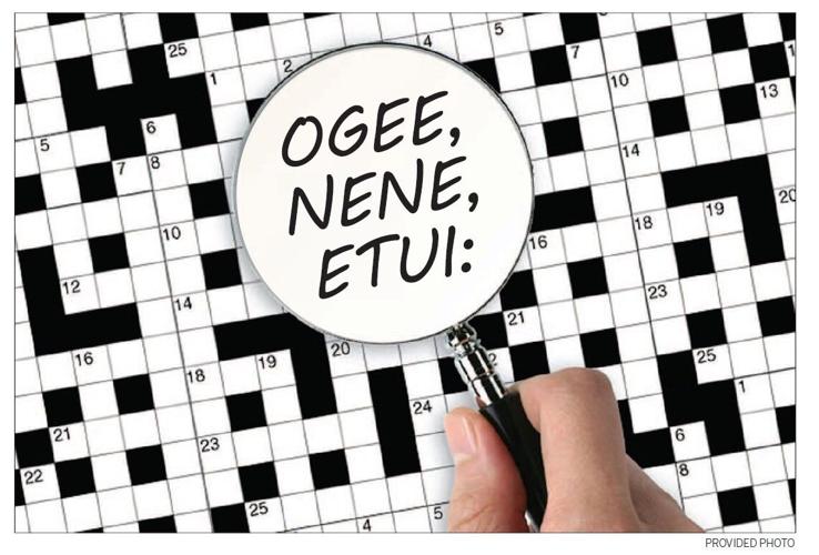 Ogee, nene, etui: An acrossionado's peculiar vocabulary ...
