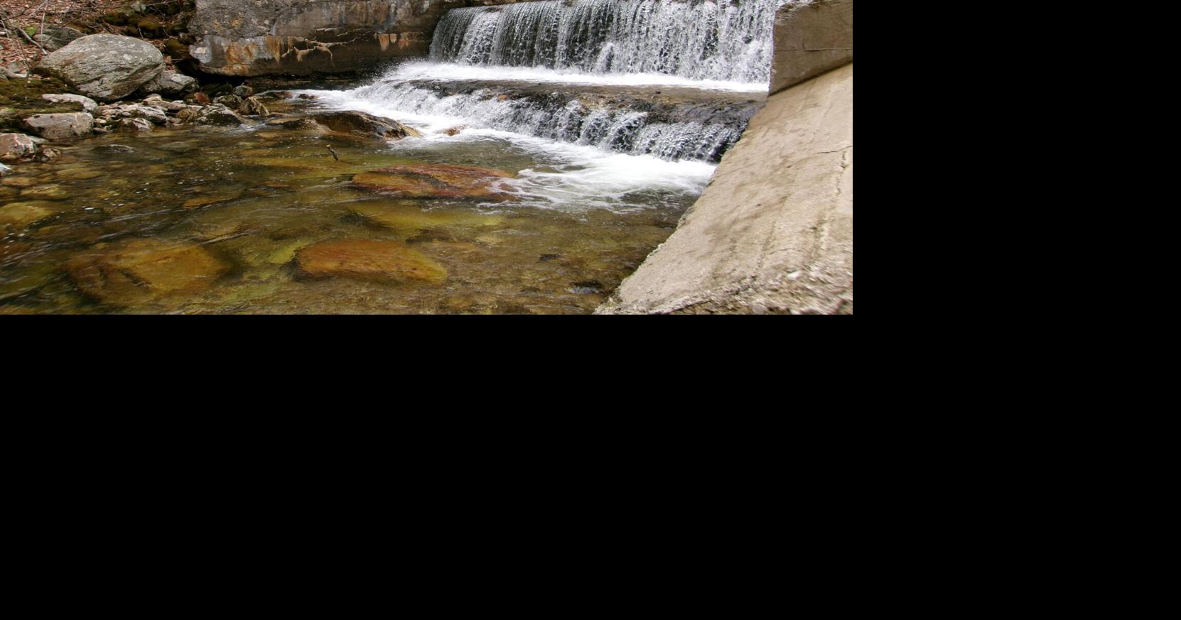 At soon to be removed Broad Brook dam, celebrate for fishes' sake Lauren R. Stevens writes a regular environmental column for The Berkshire Eagle.