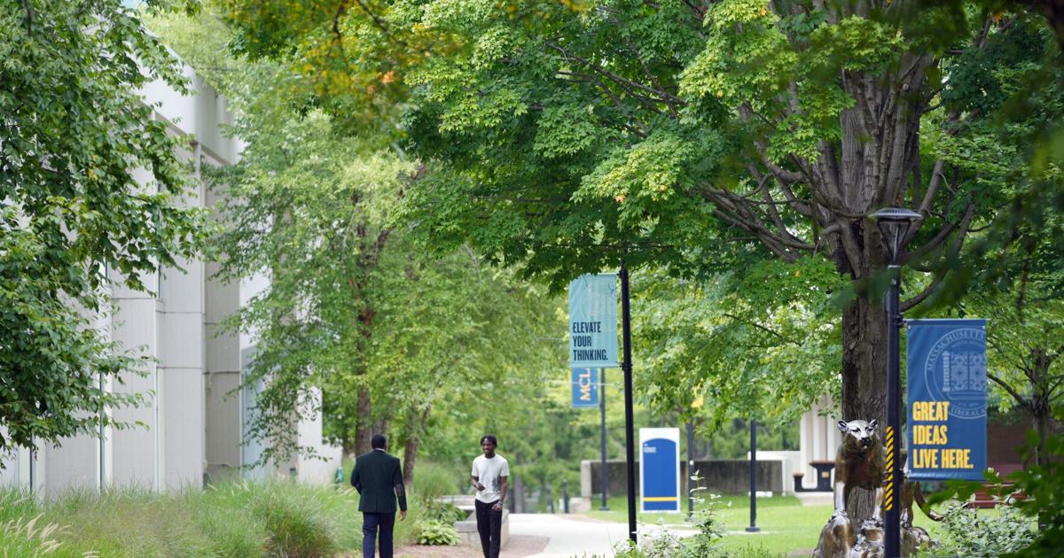 What is MCLA looking for in its next president? Here's what its leadership profile for the job says ...
