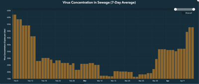Virus Concentrations in Pittsfield Wastewater.png (copy)