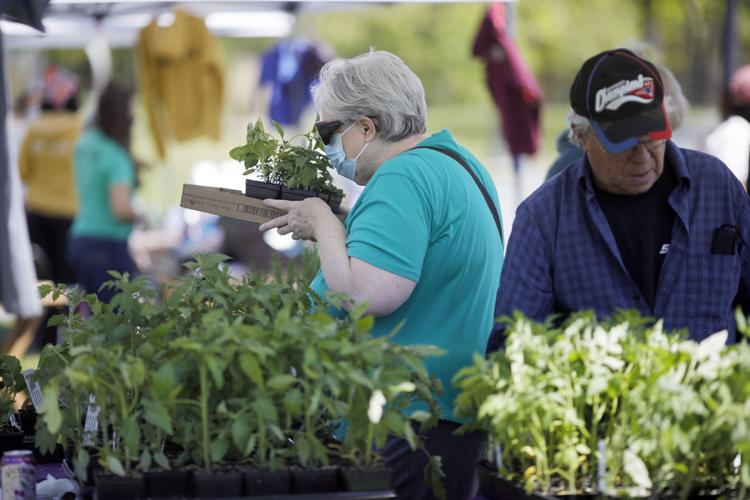 Photos Pittsfield Farmers Market Open Multimedia