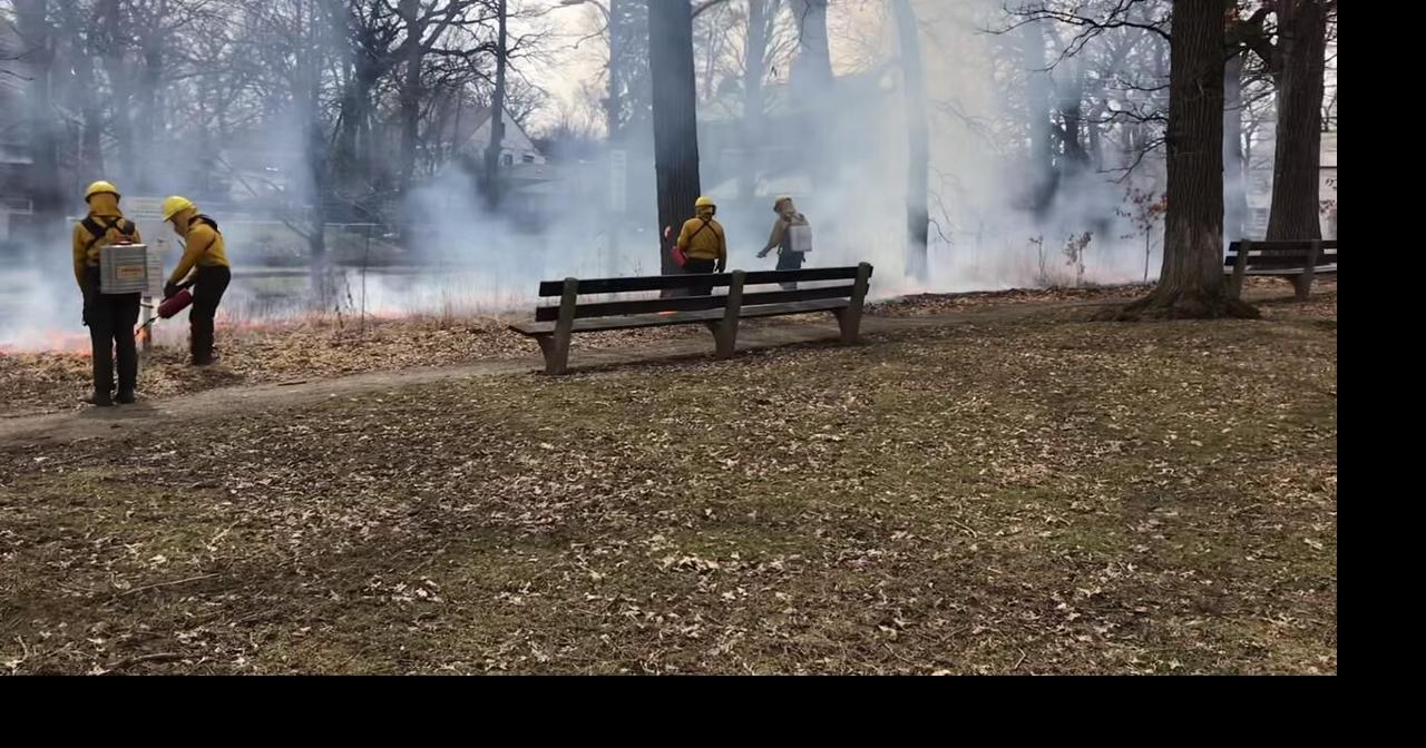 Prescribed burn at Hurley Park nature area | News | beverlyreview.net