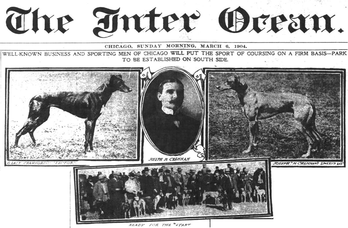 Greyhounds part of local history | Mg Pride 2022 ...