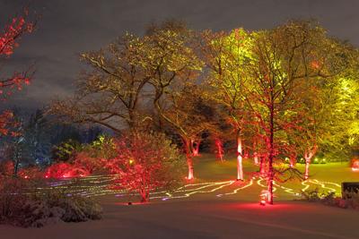 Morton Arboretum lights give visitors ‘Illumination’ | Entertainment ...