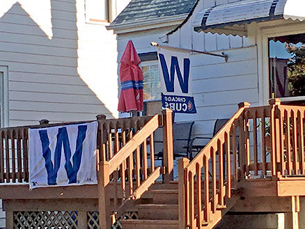 Cubs fans elated after World Series win