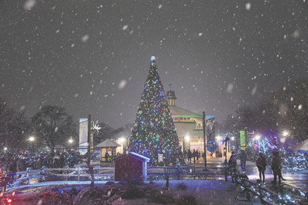 Brookfield Zoo to shine during annual Holiday Magic