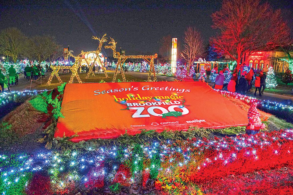 Brookfield Zoo Holiday Lights Schedule Shelly Lighting