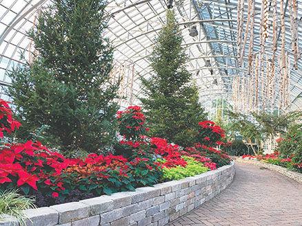 Lincoln Park Conservatory Christmas 2021
