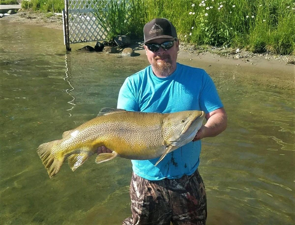 24-Pound Tiger Trout Caught in Eastern Washington Shatters Previous State  Record, Local