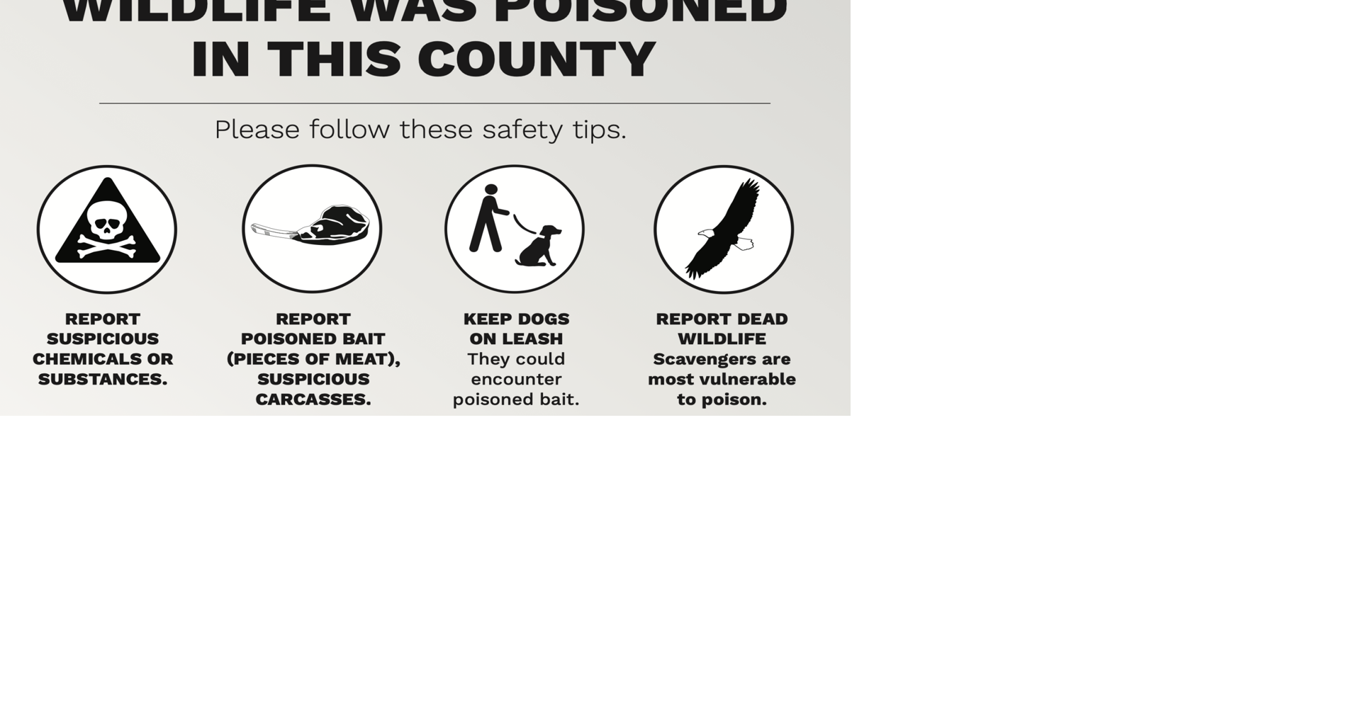 Poisoning the well for outdoor recreation in northeast Oregon: Alarming incidents lead to collateral damage for wildlife, pets | Local