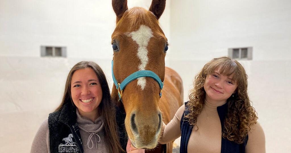 WSU Veterinary Students Earn National Equine Medicine Scholarships