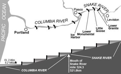 Pacific Northwest Tribes: Remove Columbia River Dams