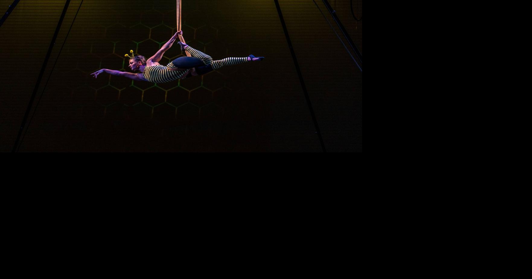 U of I Theatre Arts Department to present aerial arts summer camp showcase June 26-27