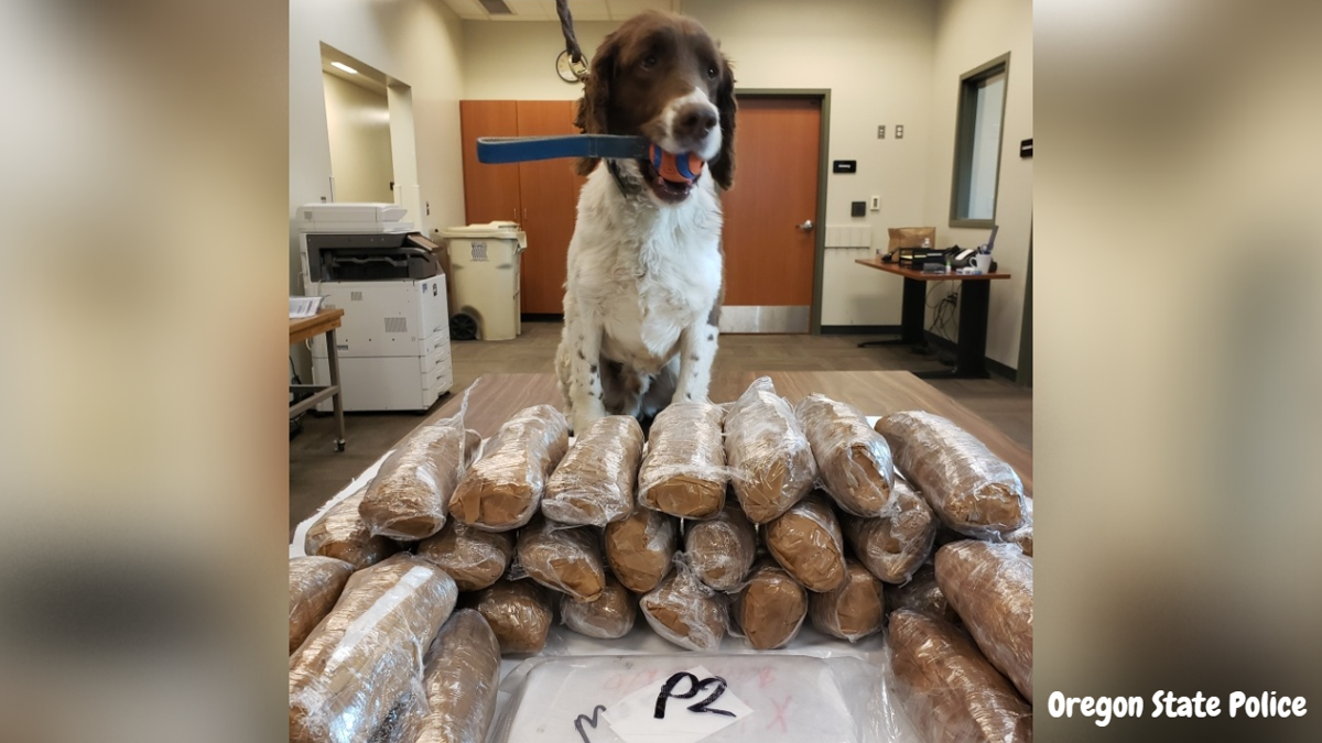 what bread is police dog