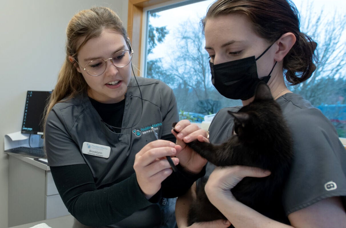 WSU College of Veterinary Medicine