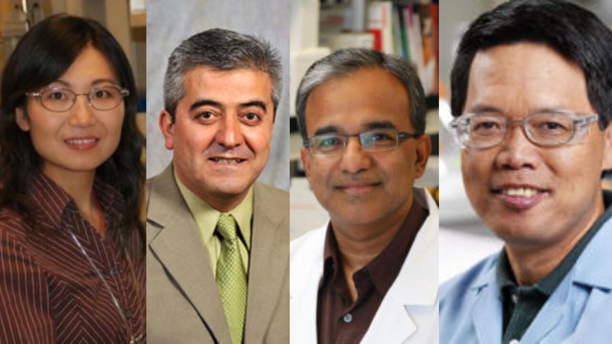 WSU Highly Cited Researchers