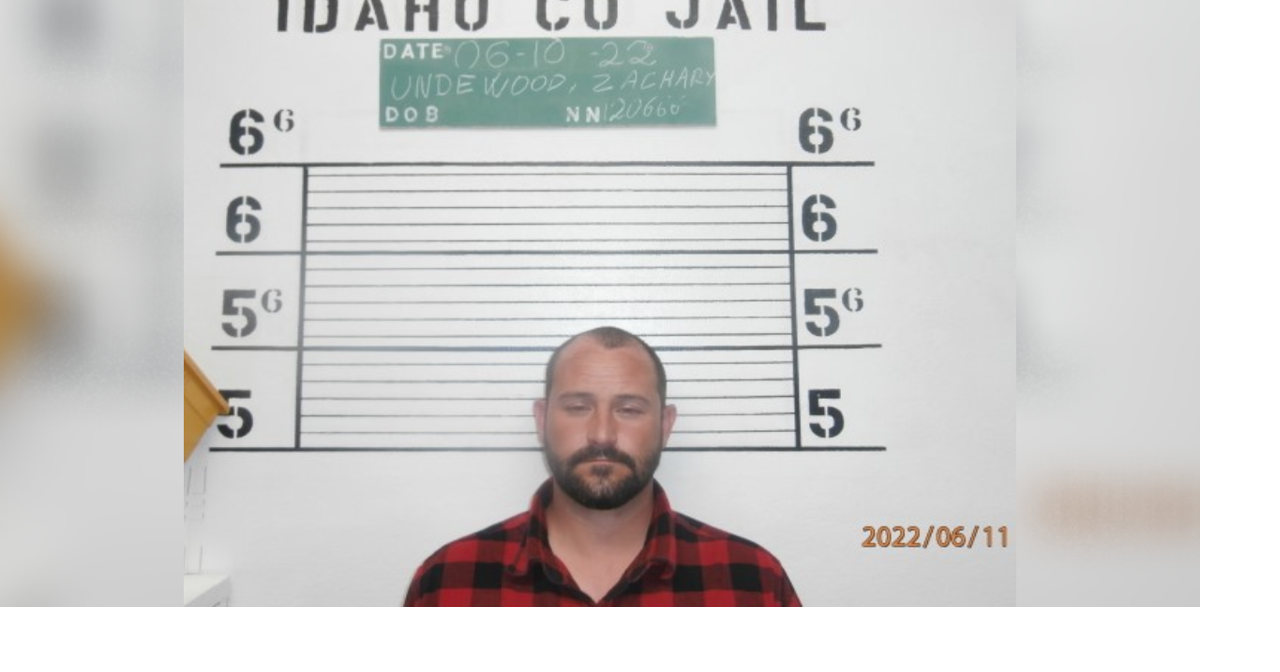 California Man Arrested for Felony DUI on US95 South of Grangeville