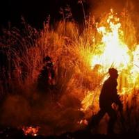Firefighters in Portugal battled three large wildfires, with the most serious near Trancoso in the centre of the country