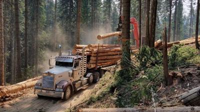Logging Truck