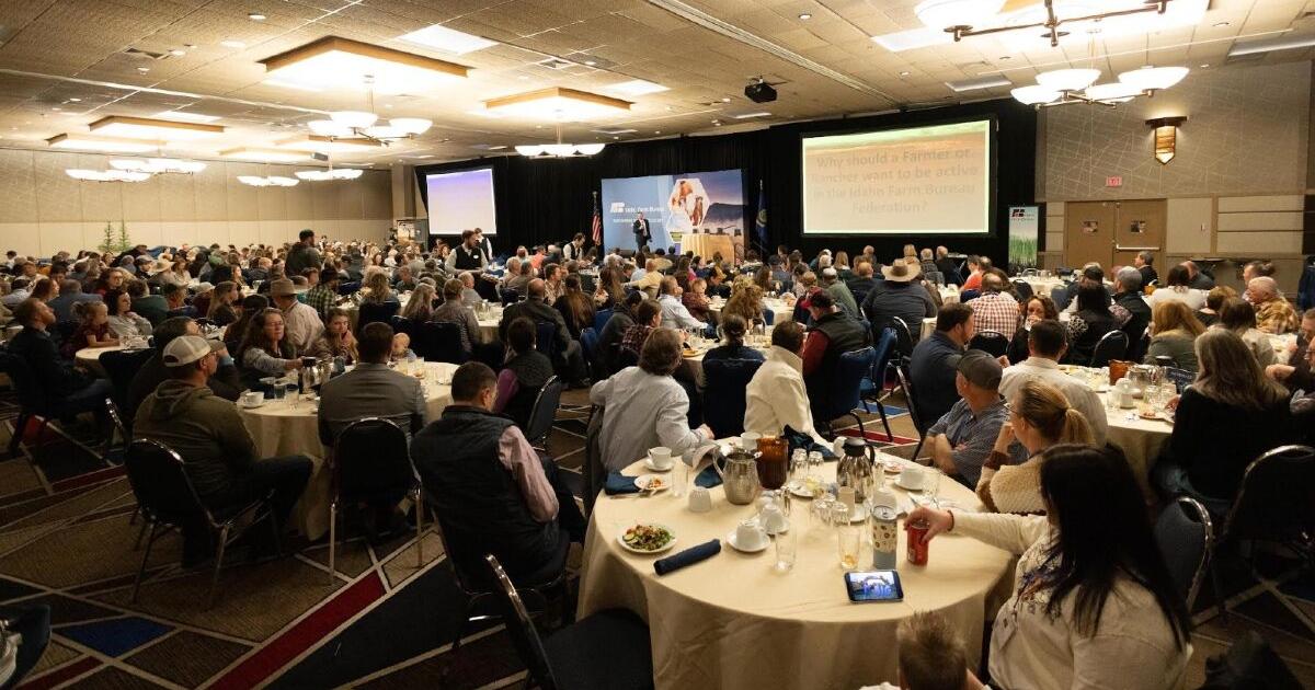 Idaho Farm Bureau elects new president