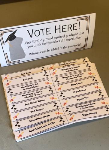 Voting Sheets | | bigcountrynewsconnection.com